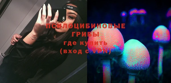 MESCALINE Аркадак