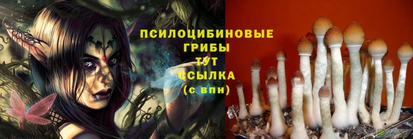 мяу мяу кристалл Арсеньев