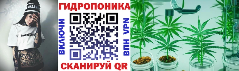Бошки Шишки семена  Ветлуга 